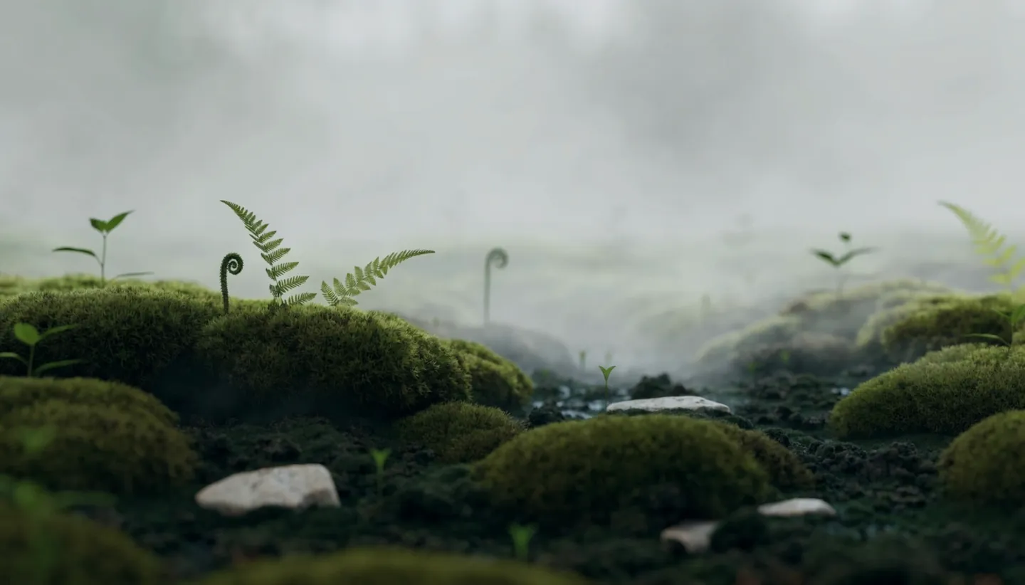 Moss and unfurling ferns on a forest floor under low fog.