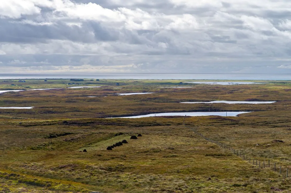 Aerial view of a peatland with scattered pools.